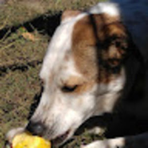 Meet your Posher, Lorann